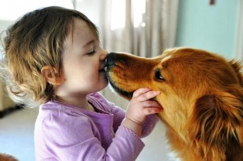 infecție cu vierme de la un câine